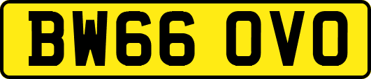 BW66OVO