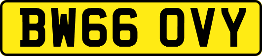 BW66OVY
