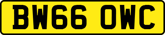BW66OWC