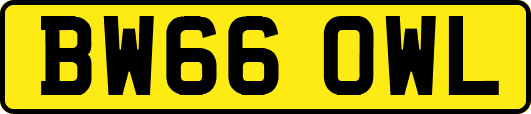 BW66OWL
