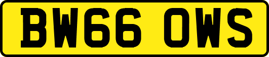 BW66OWS