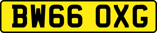 BW66OXG