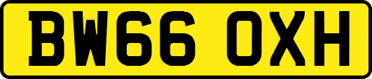 BW66OXH