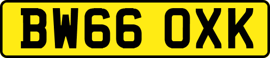BW66OXK