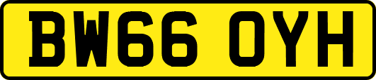 BW66OYH
