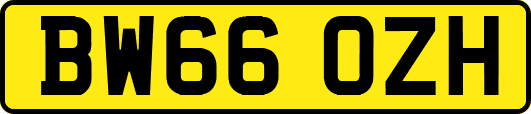 BW66OZH