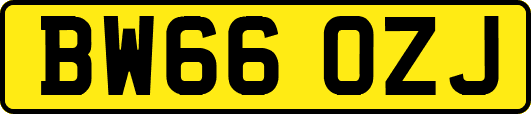 BW66OZJ