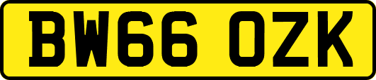 BW66OZK