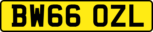 BW66OZL