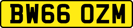BW66OZM