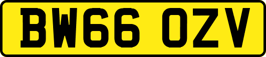 BW66OZV