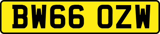 BW66OZW