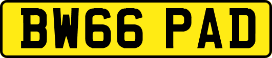 BW66PAD