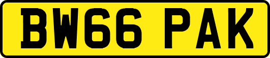 BW66PAK