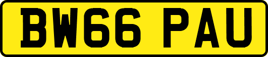BW66PAU