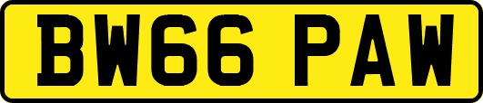 BW66PAW