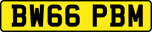 BW66PBM