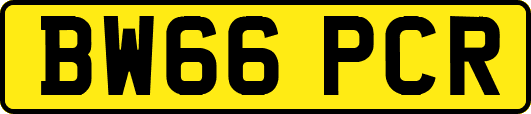 BW66PCR