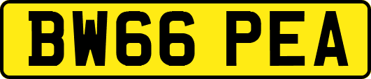 BW66PEA