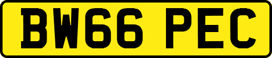 BW66PEC