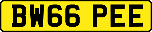 BW66PEE
