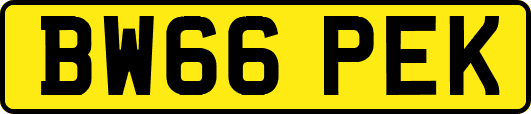 BW66PEK