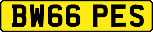 BW66PES