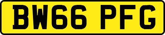 BW66PFG