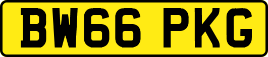 BW66PKG
