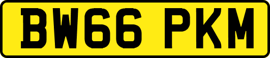 BW66PKM
