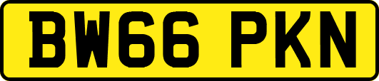 BW66PKN