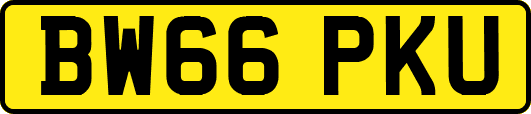 BW66PKU