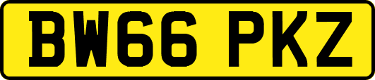 BW66PKZ