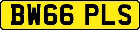 BW66PLS