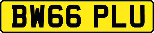 BW66PLU