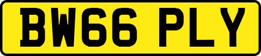 BW66PLY