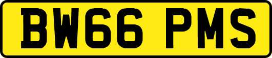 BW66PMS