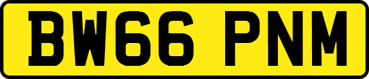 BW66PNM