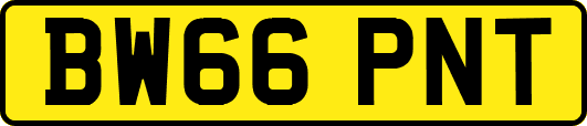 BW66PNT