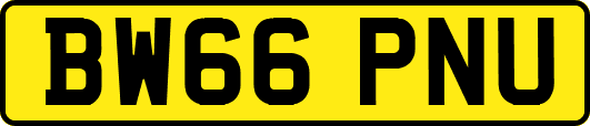 BW66PNU