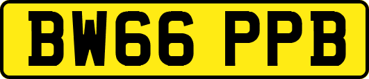 BW66PPB
