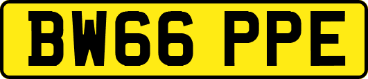 BW66PPE