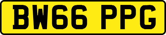 BW66PPG