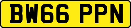 BW66PPN