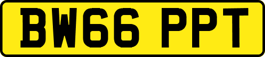 BW66PPT