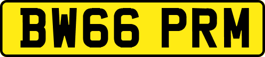 BW66PRM