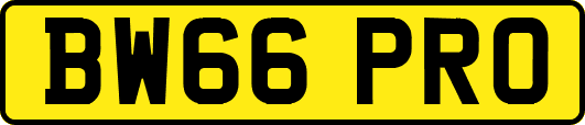 BW66PRO
