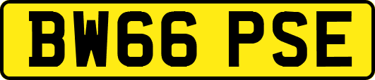 BW66PSE