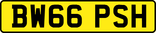 BW66PSH
