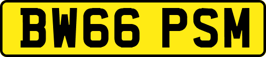 BW66PSM